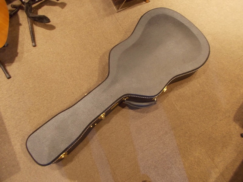 MARTIN D-41 Custom "Adirondack Top" CASE