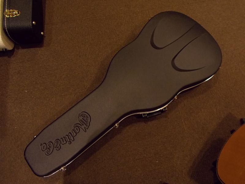 MARTIN D-35  CASE