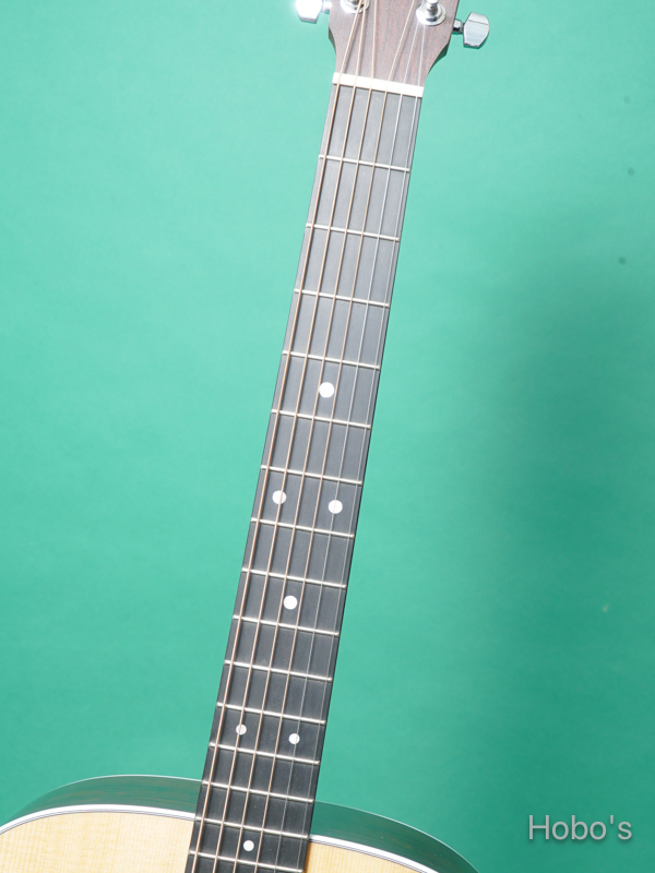 MARTIN D-13E Ziricote 3