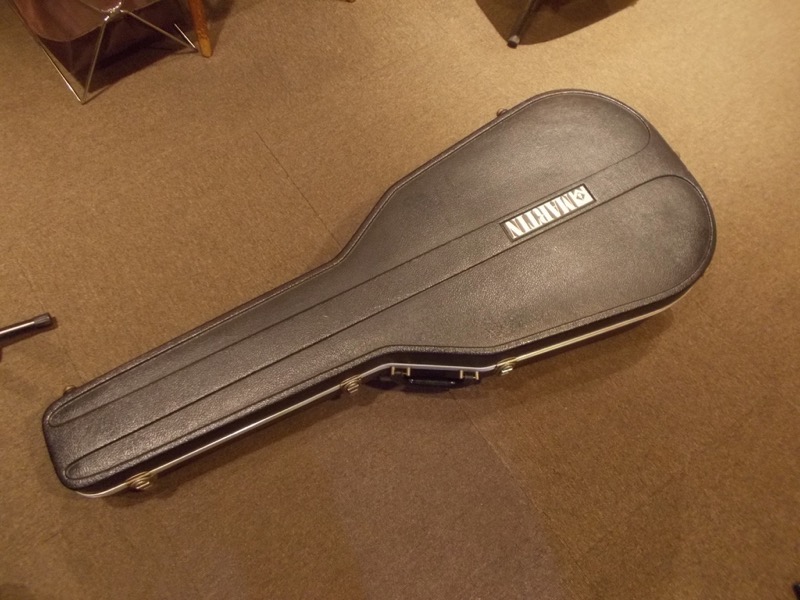 MARTIN D-62 CASE