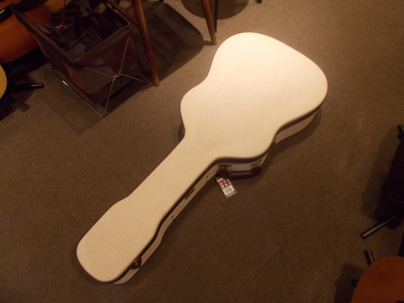 MARTIN D-18 CASE