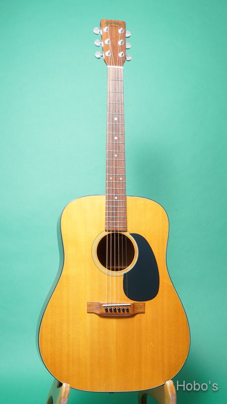 MARTIN D-18