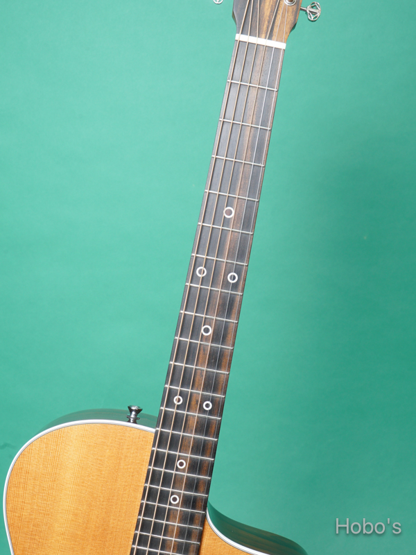 MARTIN SC-13E Special 3