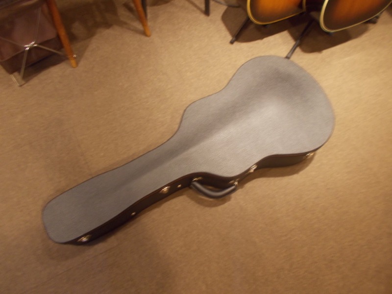 GIBSON L-00 CASE