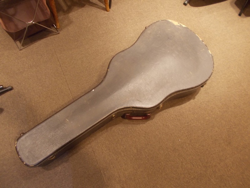 GIBSON DOVE Natural  CASE