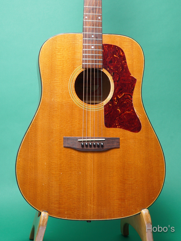 GIBSON J-50 Deluxe 5