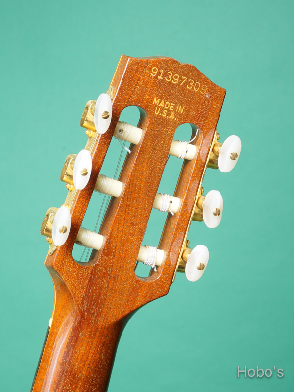 GIBSON CHET ATKINS NYLON 2