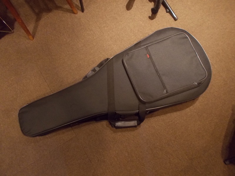 GIBSON DOVE CASE