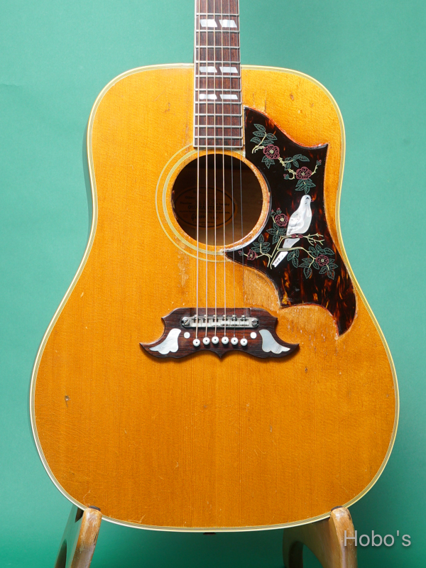 GIBSON DOVE 5