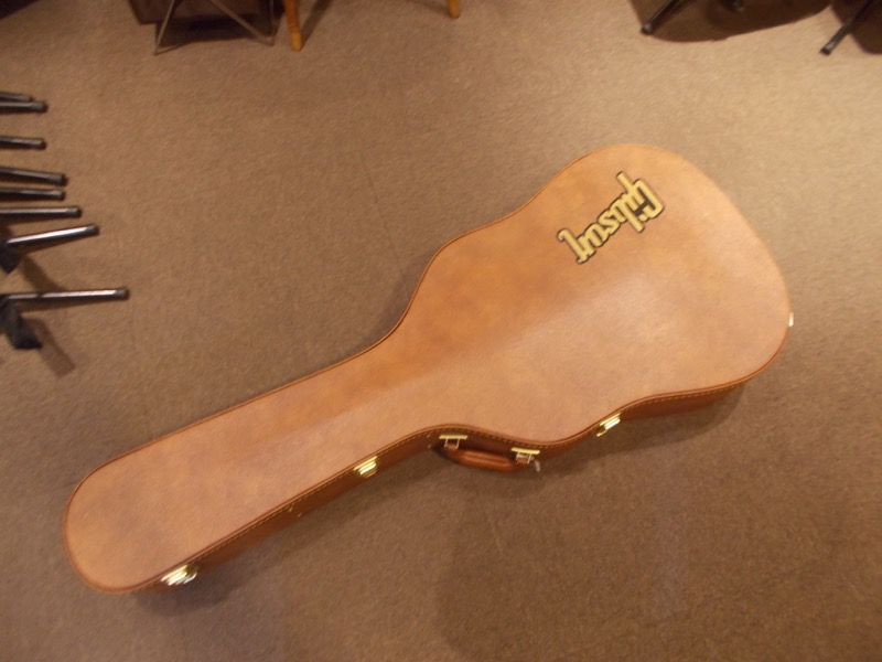 GIBSON DOVE CASE
