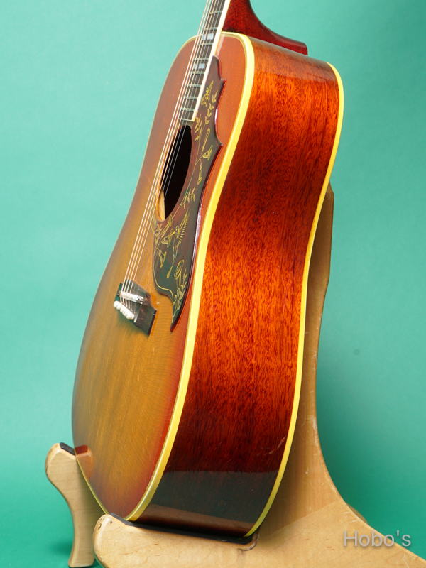 GIBSON Hummingbird 8