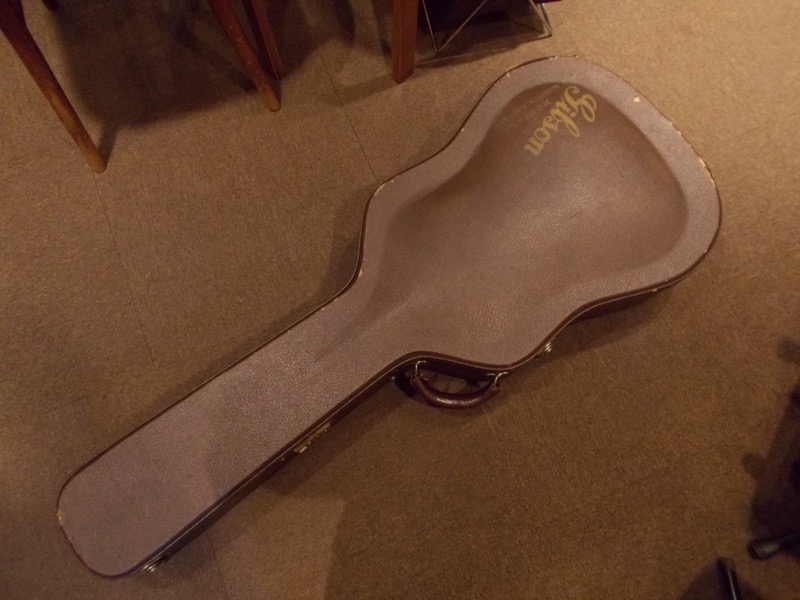 GIBSON DOVE CASE