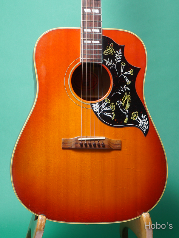 GIBSON Hummingbird 5
