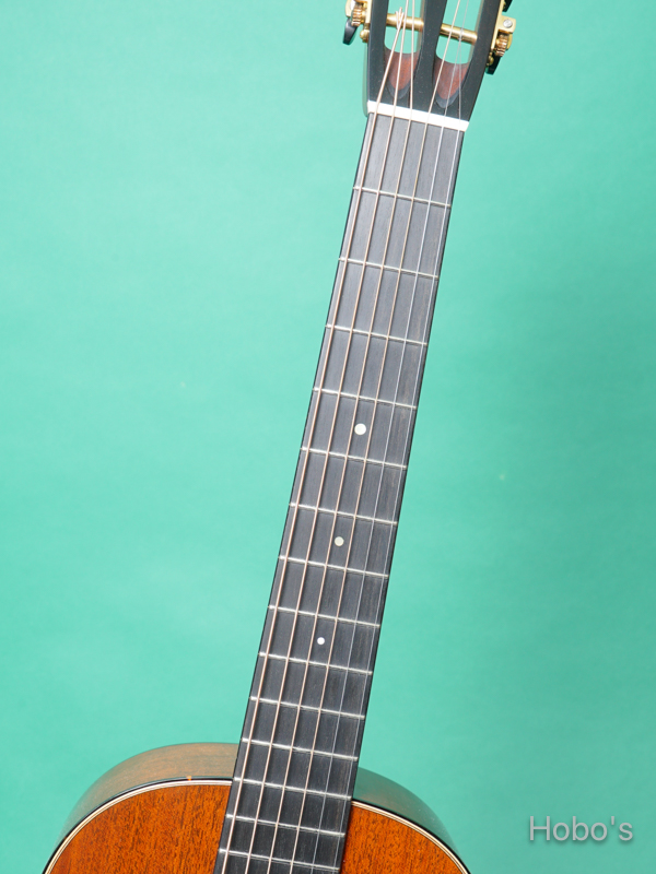 COLLINGS Parlor 1 Mh T 3