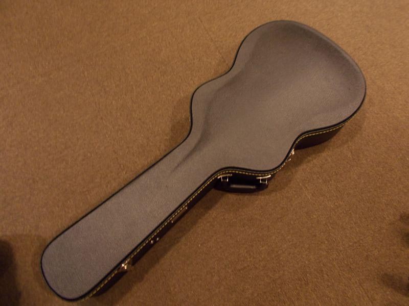 Waterloo (By Collings) WL-AT CASE
