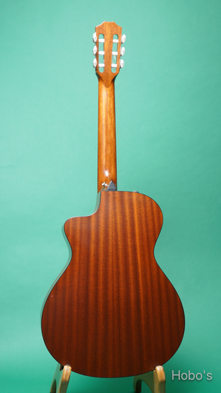 TAYLOR 312-NYLON BACK