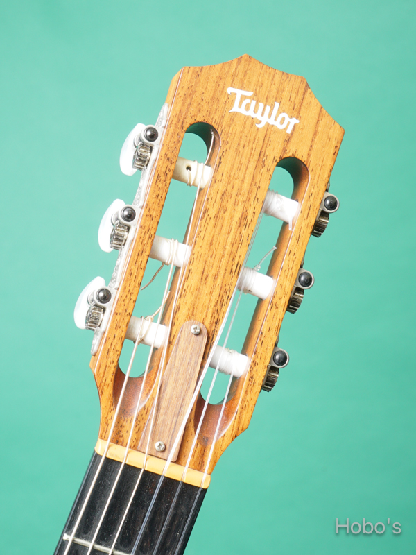 TAYLOR 312-NYLON 1