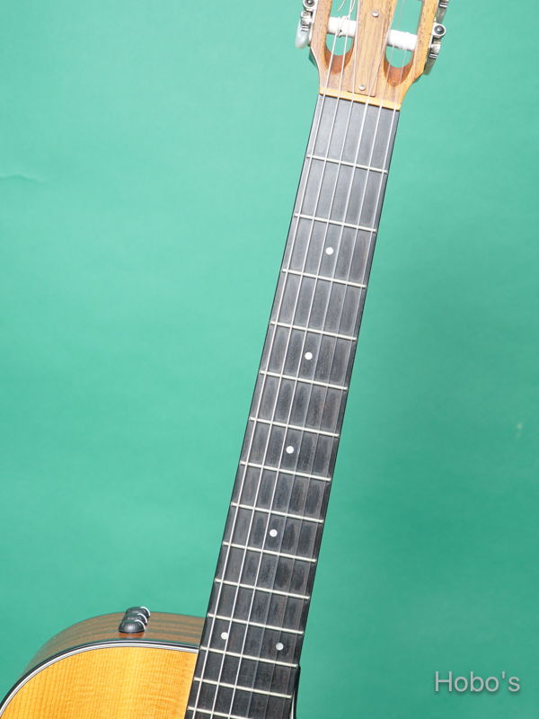 TAYLOR 312-NYLON 3