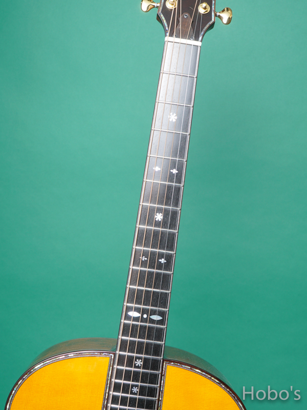 Terry's Terry / Premium Terry (テリー中本) PTJ-100GM "German / Madagascar Rosewood" 3