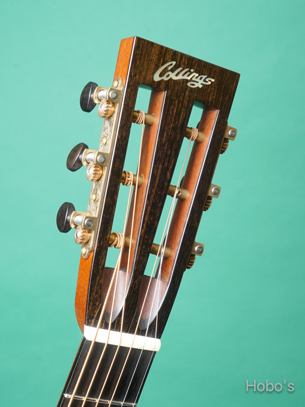 COLLINGS Parlor 1 T A Custom "Adirondack Top" 1