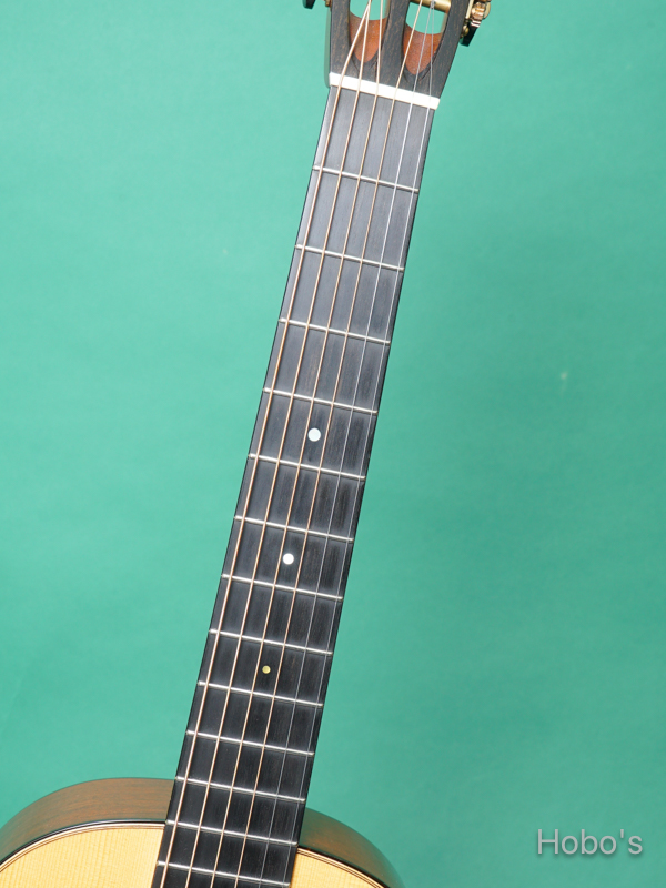COLLINGS Parlor 1 T A Custom "Adirondack Top" 3