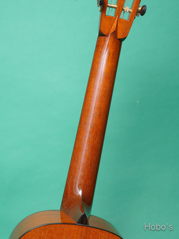 COLLINGS Parlor 1 T A Custom "Adirondack Top" 4