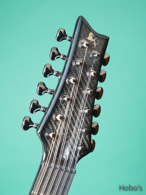Emerald Guitars X20-12 Black w/Anthem "12 Strings Guitar" 1