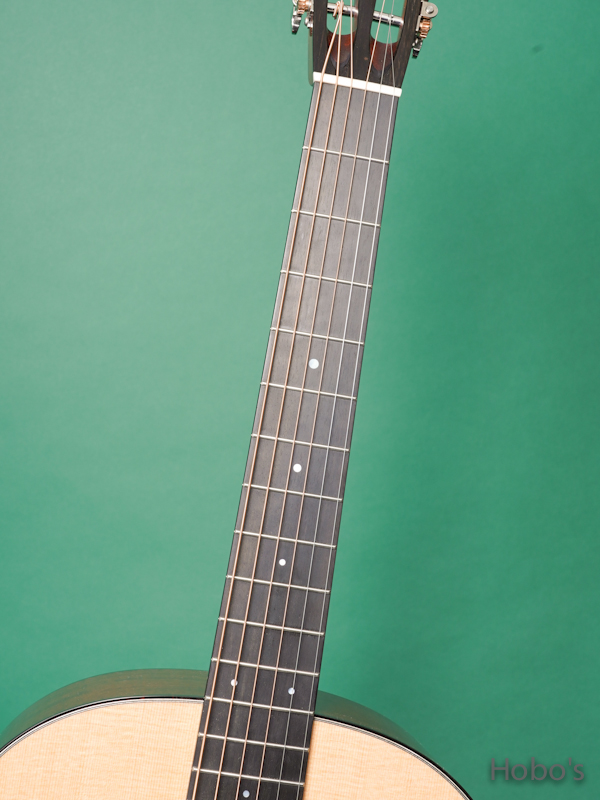 COLLINGS DS-1 3