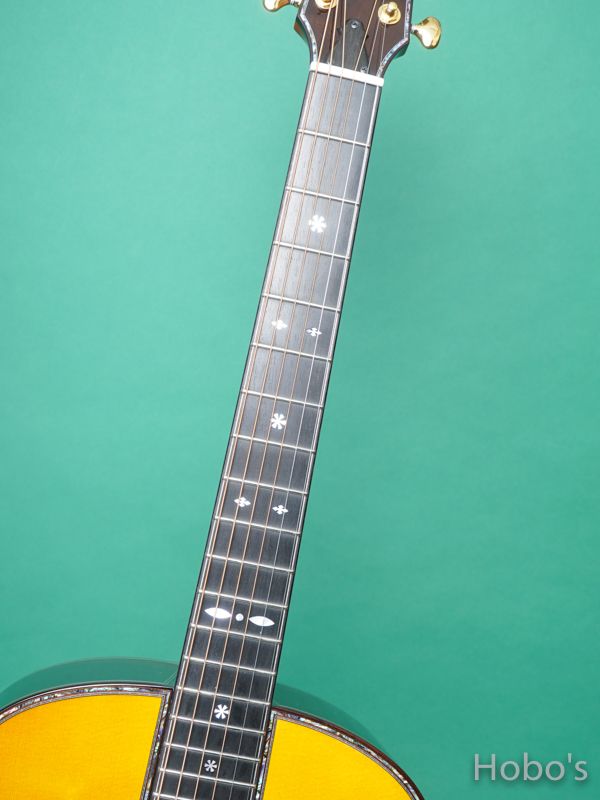 Terry's Terry / Premium Terry (テリー中本) PTJ-100GB "German / Brazilian Rosewood" 3