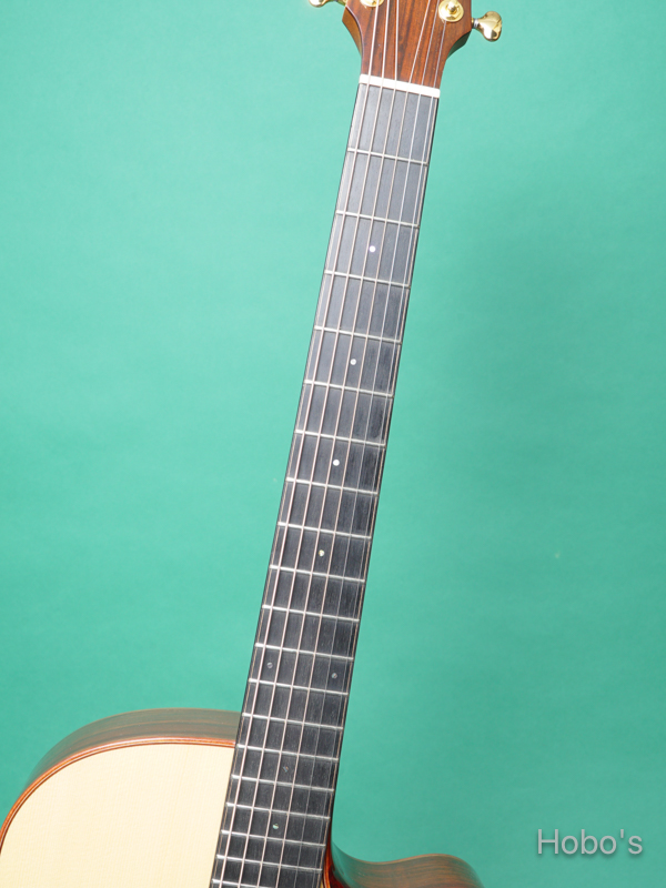 AYERS A09E-CX JP OTS Custom  "Engelmann / Cocobolo"  3