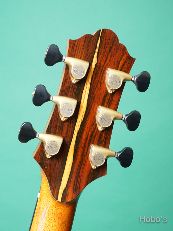 Keystone Stringed Instruments (西 恵介) Modified D Cutaway  2