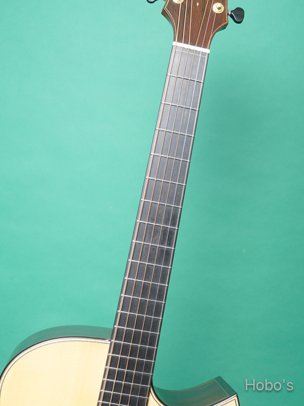 Keystone Stringed Instruments (西 恵介) Modified D Cutaway  3