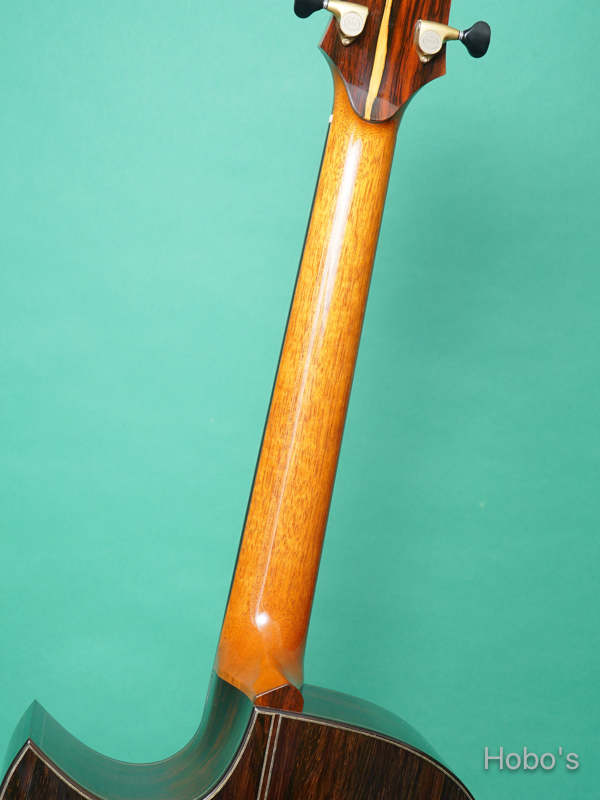 Keystone Stringed Instruments (西 恵介) Modified D Cutaway  4