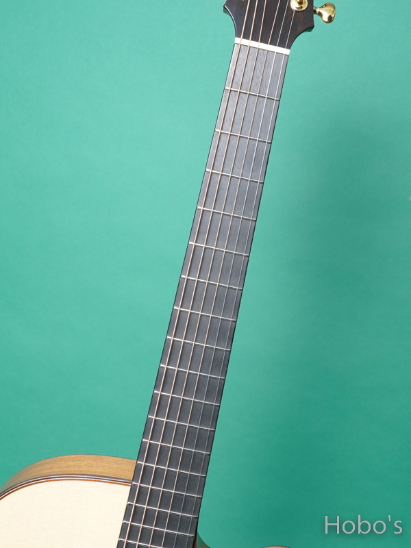 ASTURIAS Grand Solo H Custom "Special Order Made" 3