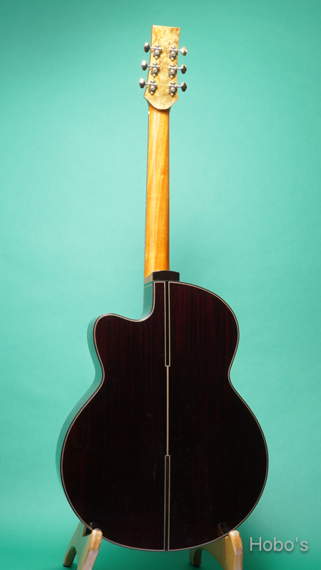 Hayase Guitars (早瀬 輪) CTM R-f.V "German / Cocobolo" BACK