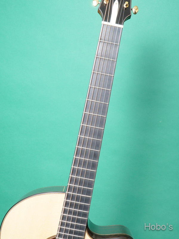 Hayase Guitars (早瀬 輪) CTM R-f.V "German / Cocobolo" 3