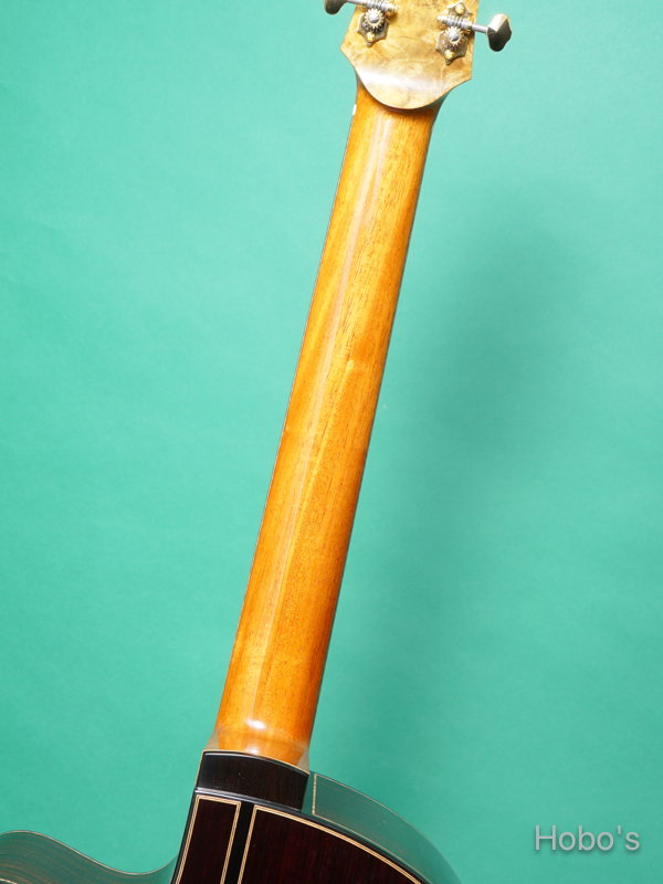 Hayase Guitars (早瀬 輪) CTM R-f.V "German / Cocobolo" 4