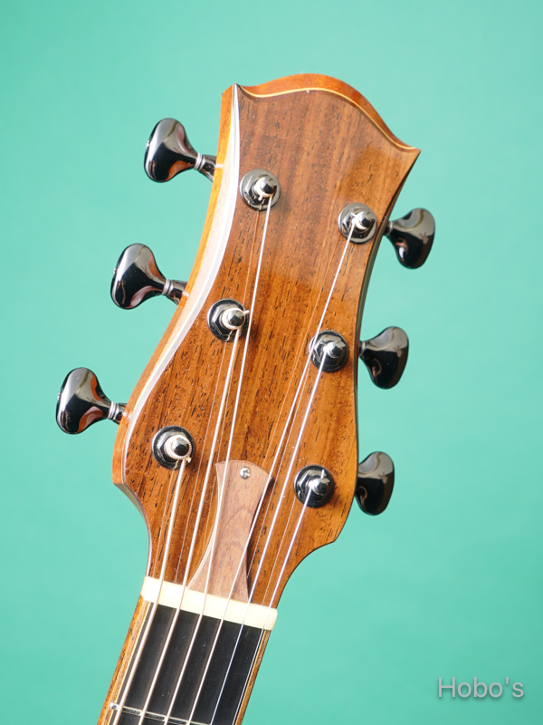 FUJII GUITARS (藤井 圭介) Model SJ Cutaway "German Spruce / Indian Rosewood" 1