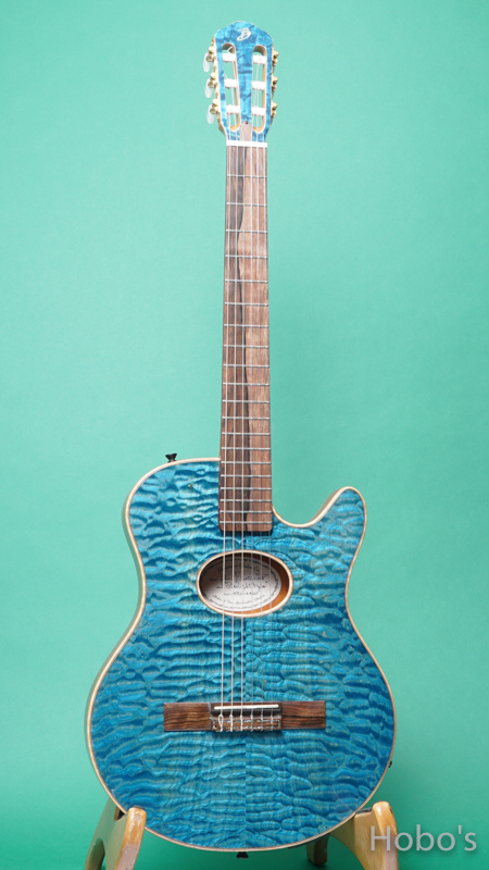Buscarino Guitars (John Buscarino) Starlight Nylon Blue FRONT