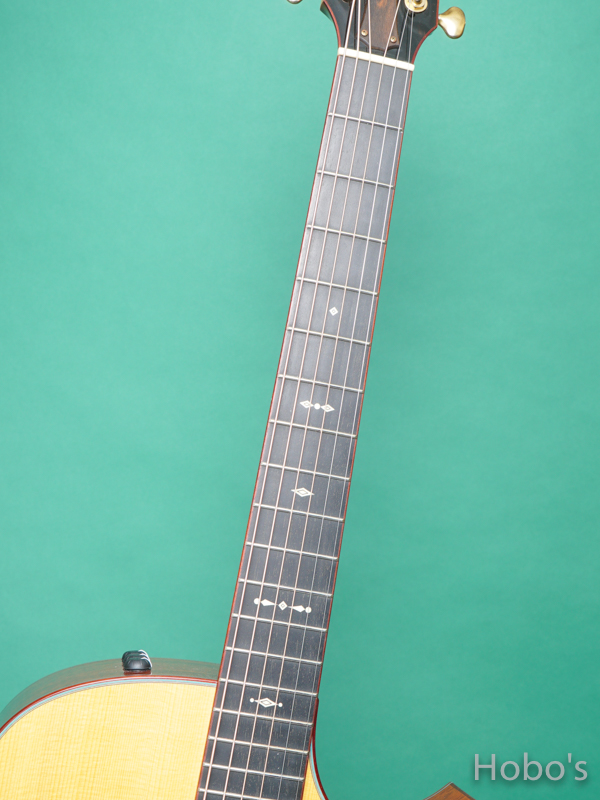 TAYLOR Custom GO "AAA Sitka Spruce Top"  3