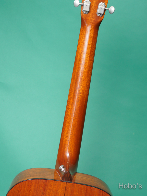 SEAGULL (塩崎 雅亮) O-50 4