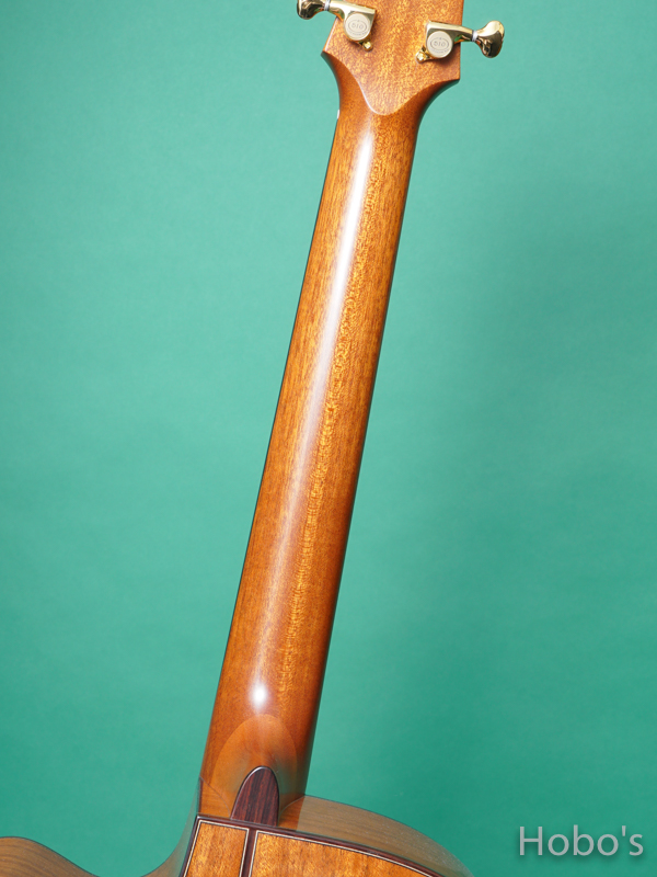 ASTURIAS Grand Solo H-Custom "Special Order Made" 4