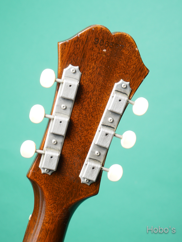 EPIPHONE FT-45 CORTEZ 2
