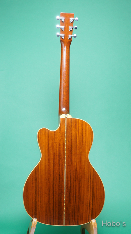 SANTA CRUZ Model H Cutaway BACK