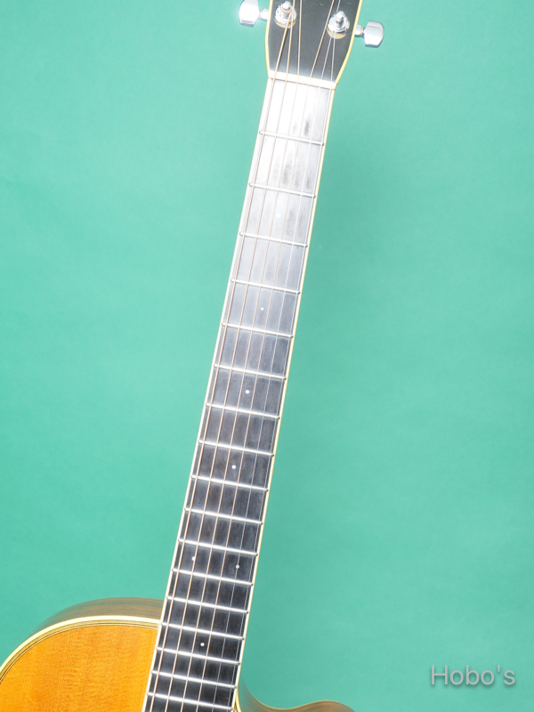 SANTA CRUZ Model H Cutaway 3