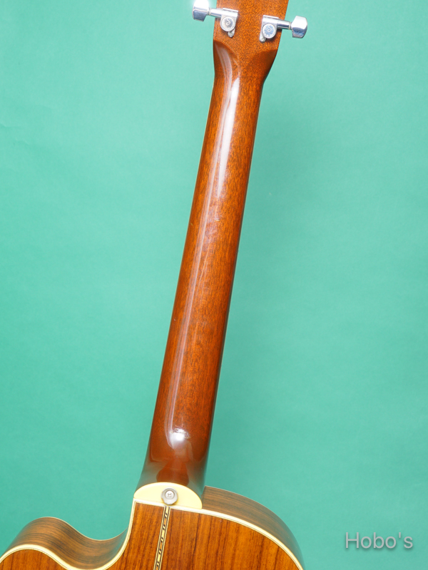 SANTA CRUZ Model H Cutaway 4