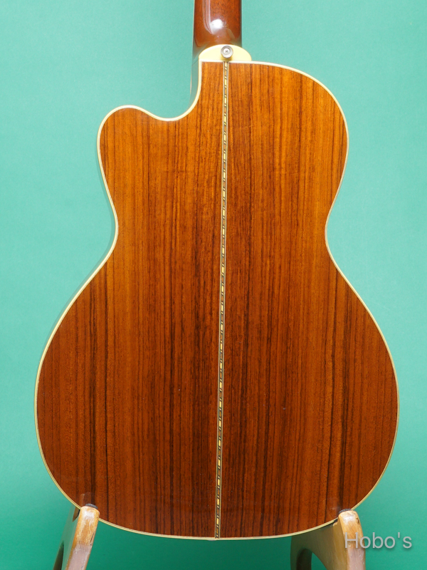 SANTA CRUZ Model H Cutaway 6