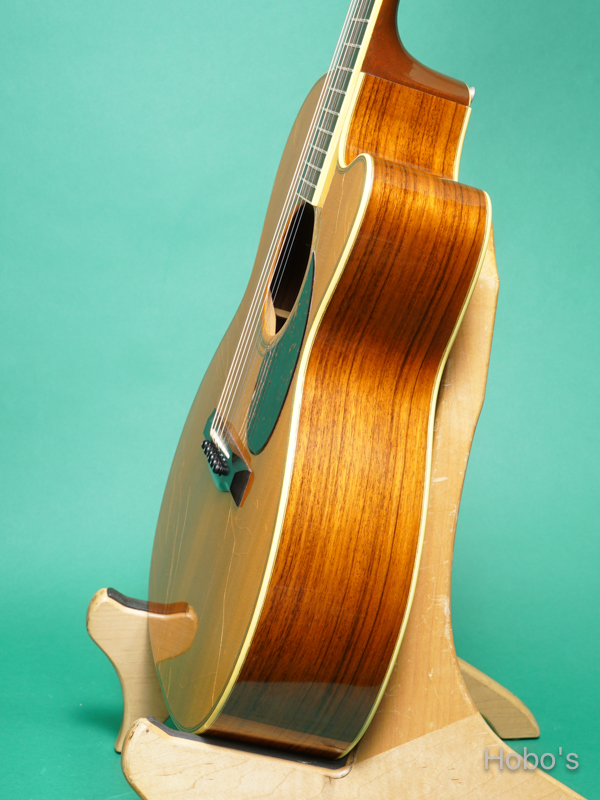SANTA CRUZ Model H Cutaway 8