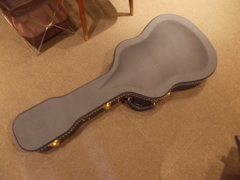 Cirrus Guitar (M.J.Franks) COM-18 CASE