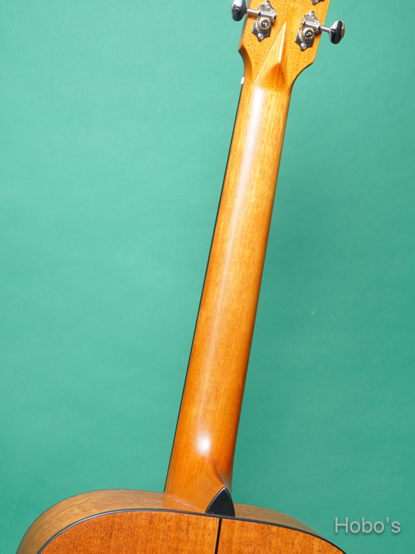 Cirrus Guitar (M.J.Franks) COM-18 4